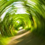 Cursus Duizeligheid